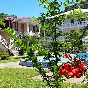 https://guest-house-nia.batumihotels.net